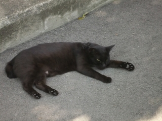 DSCF0259.JPG