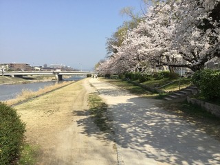 IMG_0049.jpg