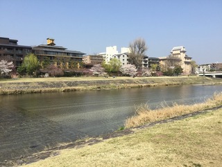 IMG_0050.jpg